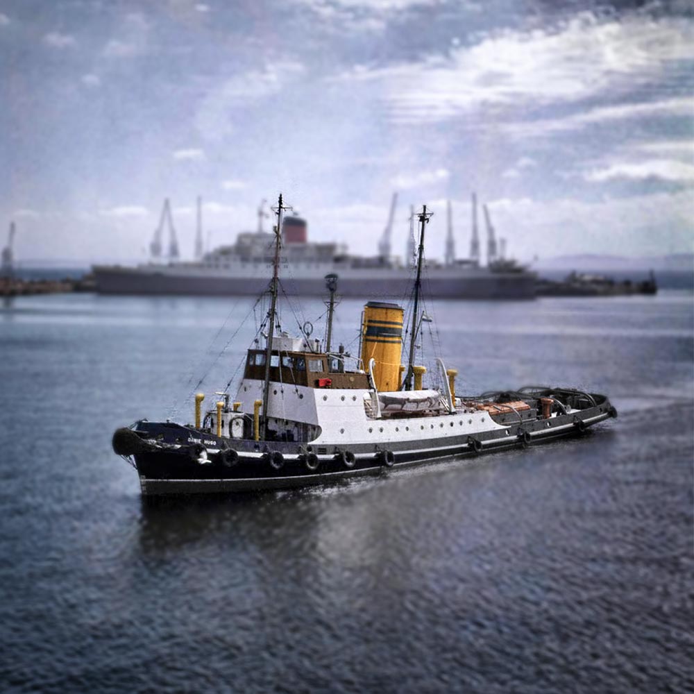 The Danie Hugo Tug Boat
